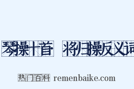 琴操十首·将归操反义词是什么意思的图片